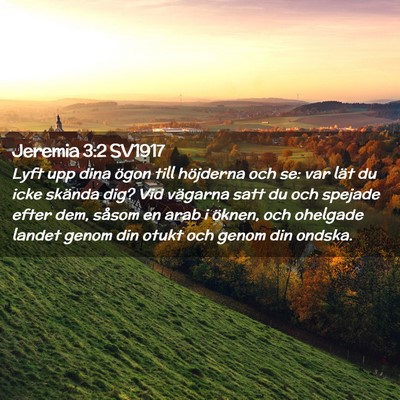 Picture 02 - Jeremia 3:2 SV1917 - Lyft upp dina ögon till höjderna och se: var - Bible Verse Picture