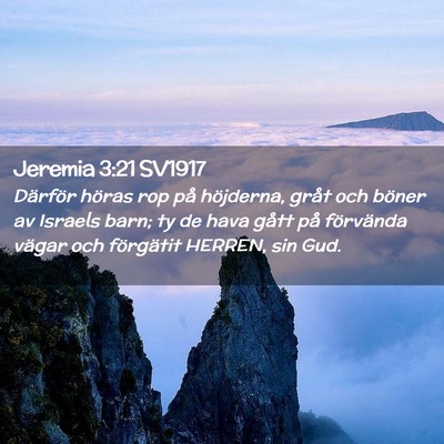 Picture 02 - Jeremia 3:21 SV1917 - Därför höras rop på höjderna, gråt och - Bible Verse Picture