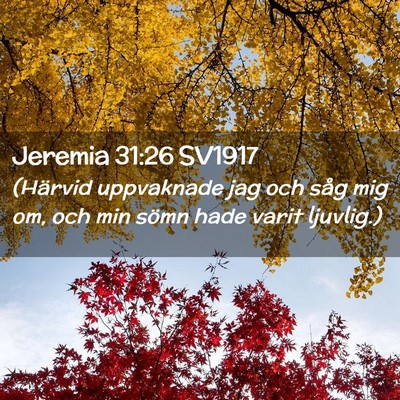 Picture 02 - Jeremia 31:26 SV1917 - (Härvid uppvaknade jag och såg mig om, och min - Bible Verse Picture