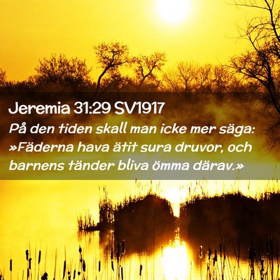 Picture 02 - Jeremia 31:29 SV1917 - På den tiden skall man icke mer säga: - Bible Verse Picture