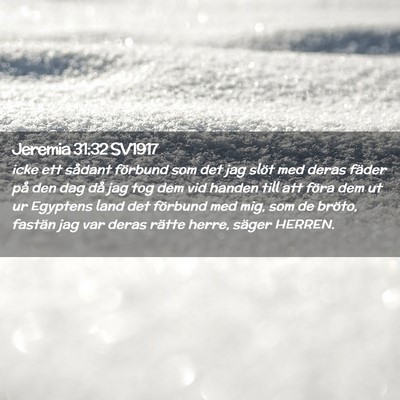 Picture 02 - Jeremia 31:32 SV1917 - icke ett sådant förbund som det jag slöt med - Bible Verse Picture