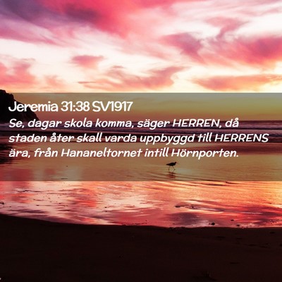Picture 02 - Jeremia 31:38 SV1917 - Se, dagar skola komma, säger HERREN, då staden - Bible Verse Picture