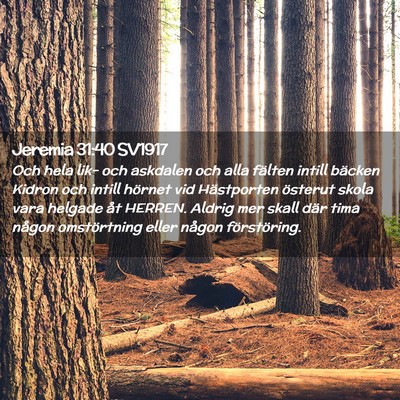 Picture 02 - Jeremia 31:40 SV1917 - Och hela lik- och askdalen och alla fälten - Bible Verse Picture