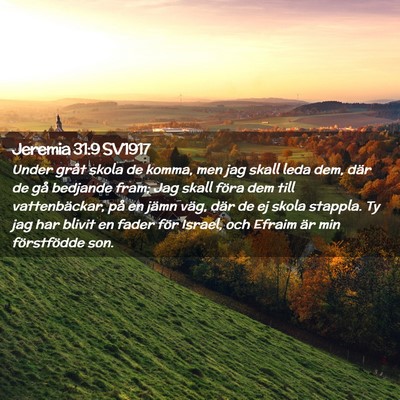 Picture 02 - Jeremia 31:9 SV1917 - Under gråt skola de komma, men jag skall leda - Bible Verse Picture