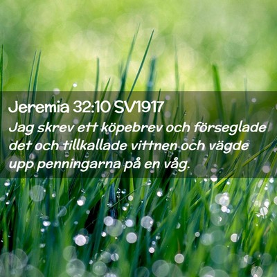 Picture 02 - Jeremia 32:10 SV1917 - Jag skrev ett köpebrev och förseglade det och - Bible Verse Picture