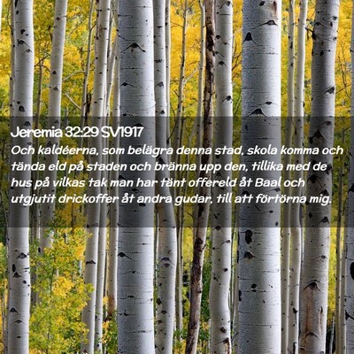 Picture 02 - Jeremia 32:29 SV1917 - Och kaldéerna, som belägra denna stad, skola - Bible Verse Picture