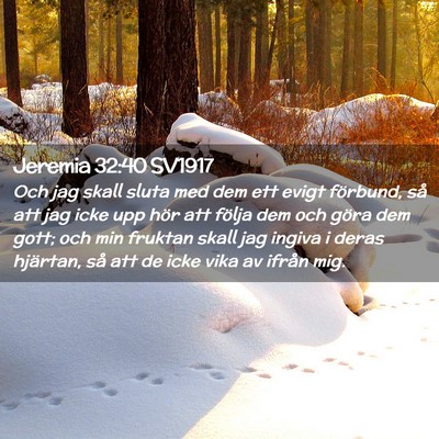 Picture 02 - Jeremia 32:40 SV1917 - Och jag skall sluta med dem ett evigt förbund, - Bible Verse Picture