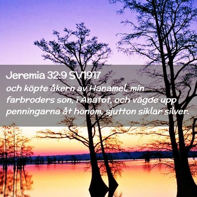 Picture 02 - Jeremia 32:9 SV1917 - och köpte åkern av Hanamel, min farbroders son, - Bible Verse Picture