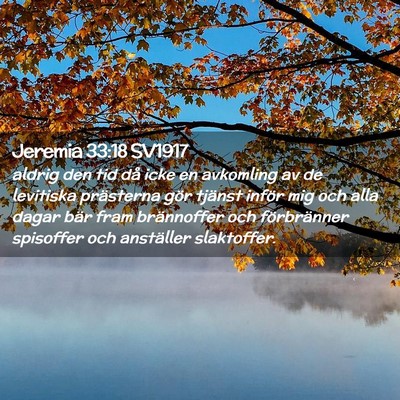 Picture 02 - Jeremia 33:18 SV1917 - aldrig den tid då icke en avkomling av de - Bible Verse Picture