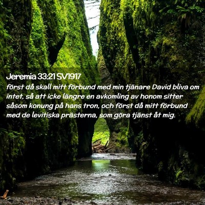 Picture 02 - Jeremia 33:21 SV1917 - först då skall mitt förbund med min tjänare - Bible Verse Picture
