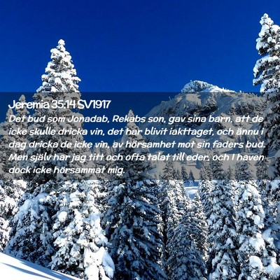 Picture 02 - Jeremia 35:14 SV1917 - Det bud som Jonadab, Rekabs son, gav sina barn, - Bible Verse Picture