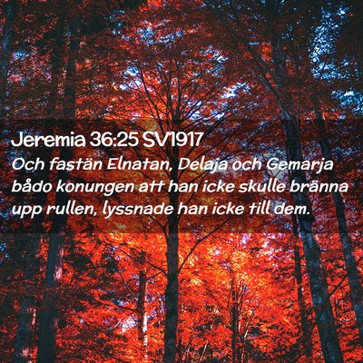 Picture 02 - Jeremia 36:25 SV1917 - Och fastän Elnatan, Delaja och Gemarja bådo - Bible Verse Picture