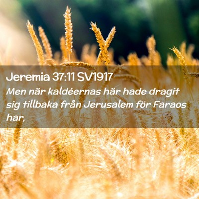Picture 02 - Jeremia 37:11 SV1917 - Men när kaldéernas här hade dragit sig - Bible Verse Picture