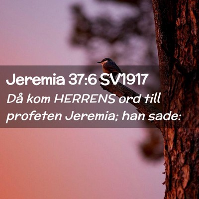 Picture 02 - Jeremia 37:6 SV1917 - Då kom HERRENS ord till profeten Jeremia; han - Bible Verse Picture