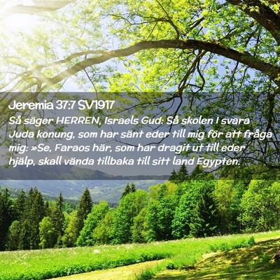 Picture 02 - Jeremia 37:7 SV1917 - Så säger HERREN, Israels Gud: Så skolen I - Bible Verse Picture