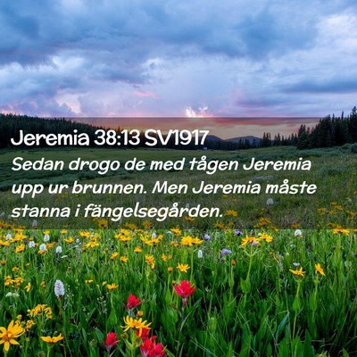 Picture 02 - Jeremia 38:13 SV1917 - Sedan drogo de med tågen Jeremia upp ur brunnen. - Bible Verse Picture
