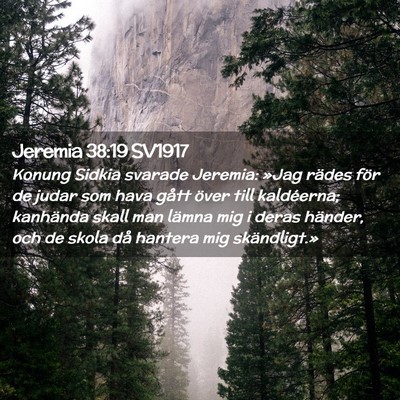 Picture 02 - Jeremia 38:19 SV1917 - Konung Sidkia svarade Jeremia: »Jag rädes för - Bible Verse Picture