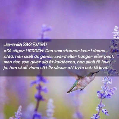 Picture 02 - Jeremia 38:2 SV1917 - »Så säger HERREN: Den som stannar kvar i denna - Bible Verse Picture