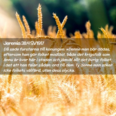 Picture 02 - Jeremia 38:4 SV1917 - Då sade furstarna till konungen: »Denne man - Bible Verse Picture