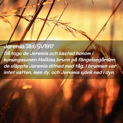 Picture 02 - Jeremia 38:6 SV1917 - Då togo de Jeremia och kastad honom i - Bible Verse Picture