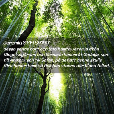 Picture 02 - Jeremia 39:14 SV1917 - dessa sände bort och läto hämta Jeremia ifrån - Bible Verse Picture
