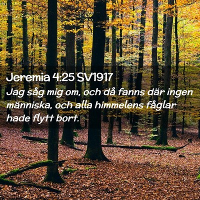 Picture 02 - Jeremia 4:25 SV1917 - Jag såg mig om, och då fanns där ingen - Bible Verse Picture