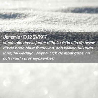 Picture 02 - Jeremia 40:12 SV1917 - vände alla dessa judar tillbaka från alla de - Bible Verse Picture