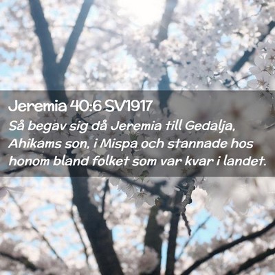 Picture 02 - Jeremia 40:6 SV1917 - Så begav sig då Jeremia till Gedalja, Ahikams - Bible Verse Picture