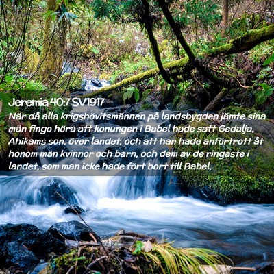 Picture 02 - Jeremia 40:7 SV1917 - När då alla krigshövitsmännen på landsbygden - Bible Verse Picture