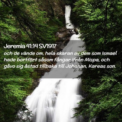 Picture 02 - Jeremia 41:14 SV1917 - och de vände om, hela skaran av dem som Ismael - Bible Verse Picture
