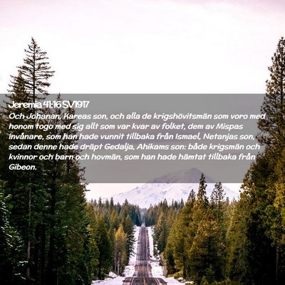 Picture 02 - Jeremia 41:16 SV1917 - Och Johanan, Kareas son, och alla de - Bible Verse Picture