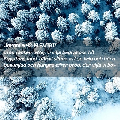 Picture 02 - Jeremia 42:14 SV1917 - utan tänken: »Nej, vi vilja begiva oss till - Bible Verse Picture
