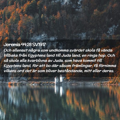 Picture 02 - Jeremia 44:28 SV1917 - Och allenast några som undkomma svärdet skola - Bible Verse Picture