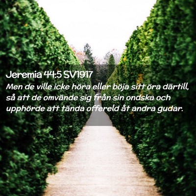 Picture 02 - Jeremia 44:5 SV1917 - Men de ville icke höra eller böja sitt öra - Bible Verse Picture