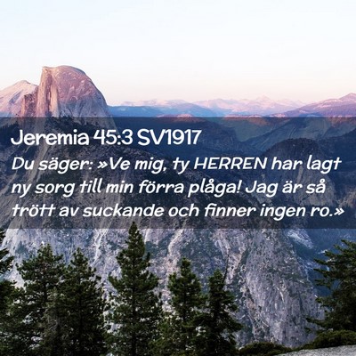 Picture 02 - Jeremia 45:3 SV1917 - Du säger: »Ve mig, ty HERREN har lagt ny sorg - Bible Verse Picture