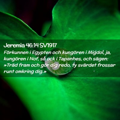 Picture 02 - Jeremia 46:14 SV1917 - Förkunnen i Egypten och kungören i Migdol, ja, - Bible Verse Picture