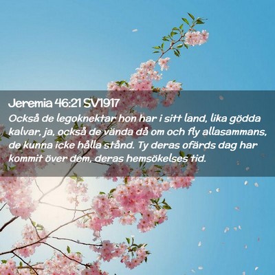 Picture 02 - Jeremia 46:21 SV1917 - Också de legoknektar hon har i sitt land, lika - Bible Verse Picture