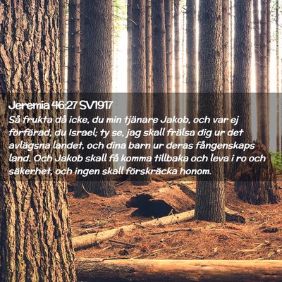 Picture 02 - Jeremia 46:27 SV1917 - Så frukta då icke, du min tjänare Jakob, och - Bible Verse Picture
