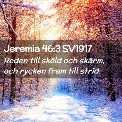 Picture 02 - Jeremia 46:3 SV1917 - Reden till sköld och skärm, och rycken fram - Bible Verse Picture