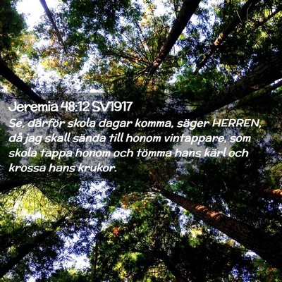 Picture 02 - Jeremia 48:12 SV1917 - Se, därför skola dagar komma, säger HERREN, - Bible Verse Picture