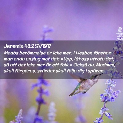 Picture 02 - Jeremia 48:2 SV1917 - Moabs berömmelse är icke mer. I Hesbon förehar - Bible Verse Picture