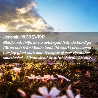 Picture 02 - Jeremia 48:33 SV1917 - Glädje och fröjd är nu avbärgad från de - Bible Verse Picture