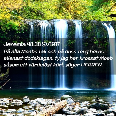 Picture 02 - Jeremia 48:38 SV1917 - På alla Moabs tak och på dess torg höres - Bible Verse Picture