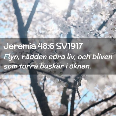 Picture 02 - Jeremia 48:6 SV1917 - Flyn, rädden edra liv, och bliven som torra - Bible Verse Picture