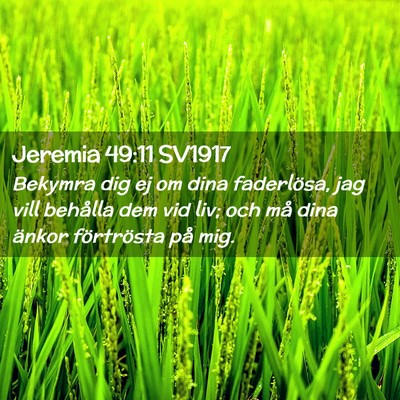 Picture 02 - Jeremia 49:11 SV1917 - Bekymra dig ej om dina faderlösa, jag vill - Bible Verse Picture
