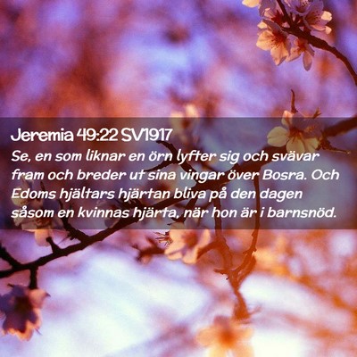 Picture 02 - Jeremia 49:22 SV1917 - Se, en som liknar en örn lyfter sig och svävar - Bible Verse Picture