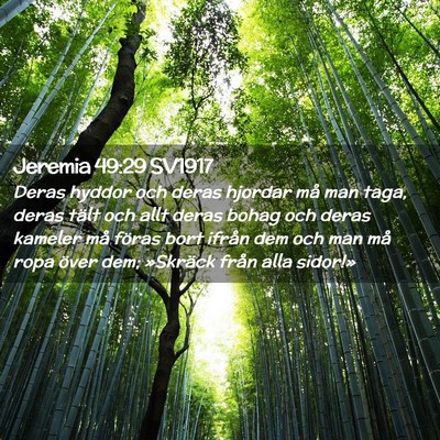 Picture 02 - Jeremia 49:29 SV1917 - Deras hyddor och deras hjordar må man taga, - Bible Verse Picture