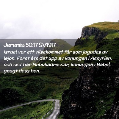 Picture 02 - Jeremia 50:17 SV1917 - Israel var ett vilsekommet får som jagades av - Bible Verse Picture