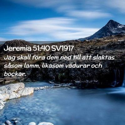 Picture 02 - Jeremia 51:40 SV1917 - Jag skall föra dem ned till att slaktas såsom - Bible Verse Picture