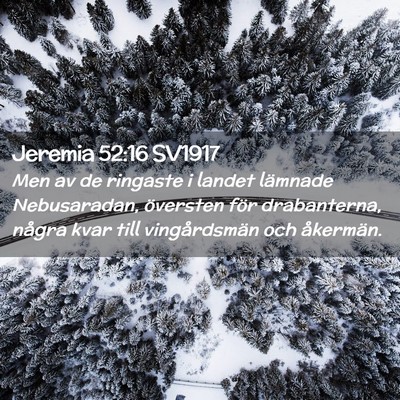 Picture 02 - Jeremia 52:16 SV1917 - Men av de ringaste i landet lämnade Nebusaradan, - Bible Verse Picture